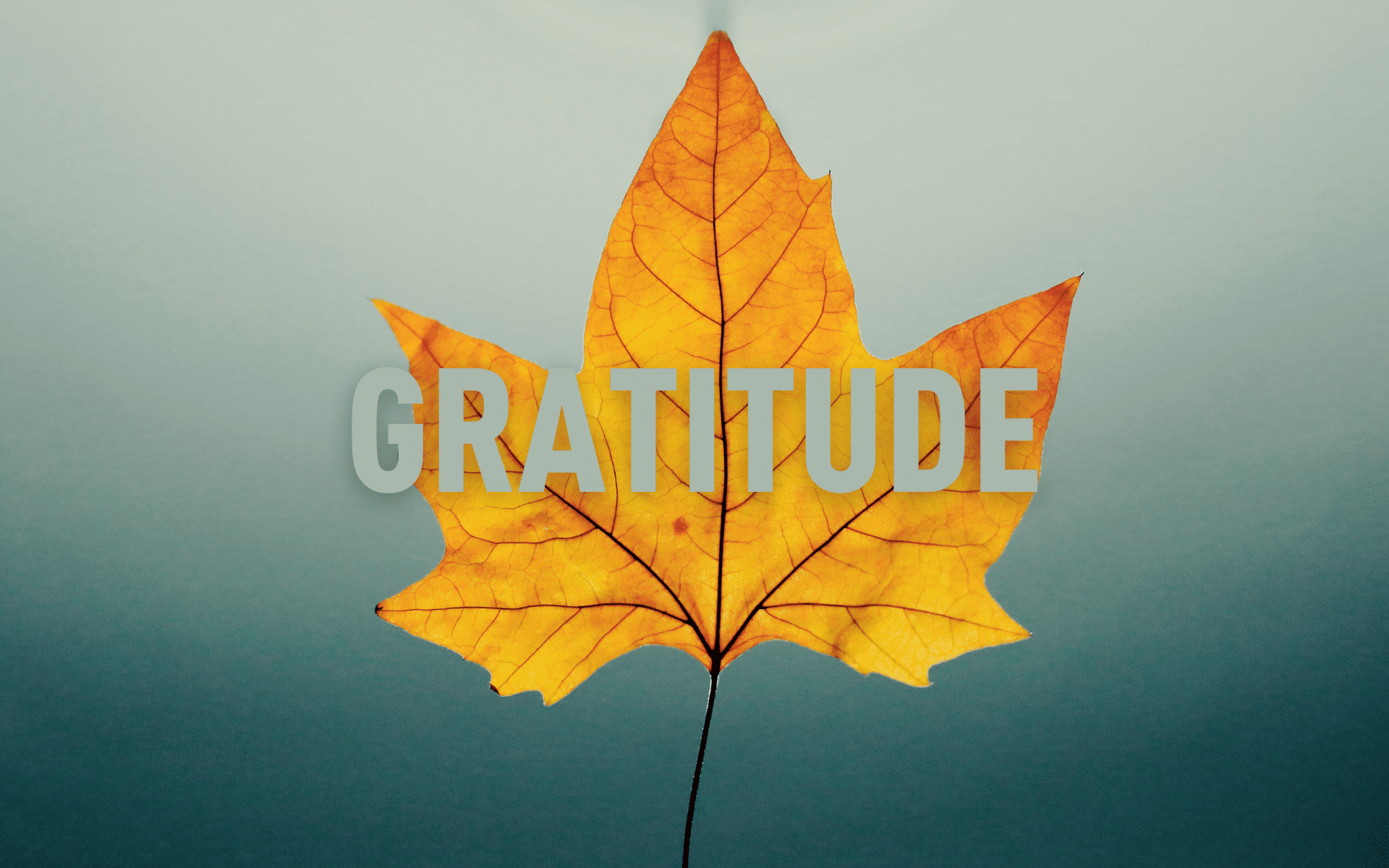 How to start a gratitude practice